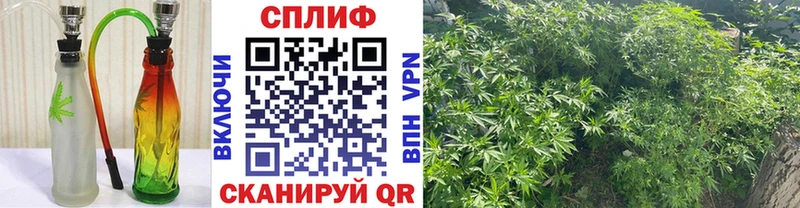 Какие есть наркотики Курск КОКАИН Бошки Шишки Мефедрон Гашиш