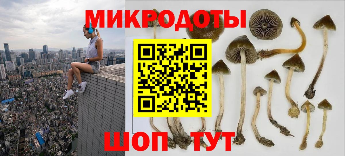 Курск  Псилоцибиновые грибы GOLDEN TEACHER  Вход с VPN 