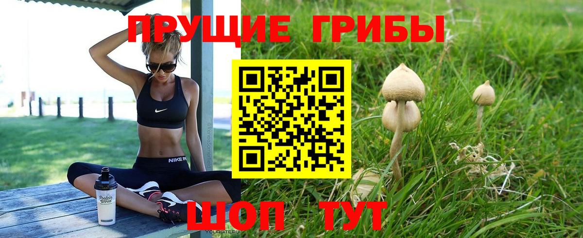 Галлюциногенные грибы Psilocybe Курск