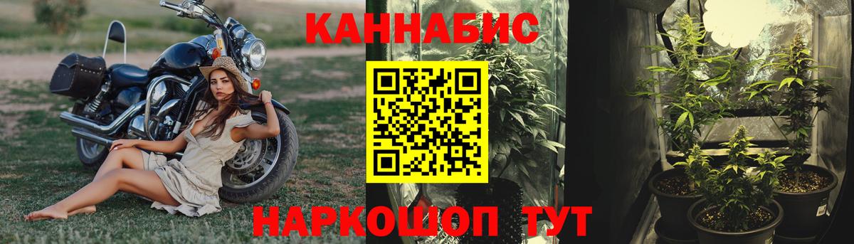 Бошки марихуана AK-47 Курск